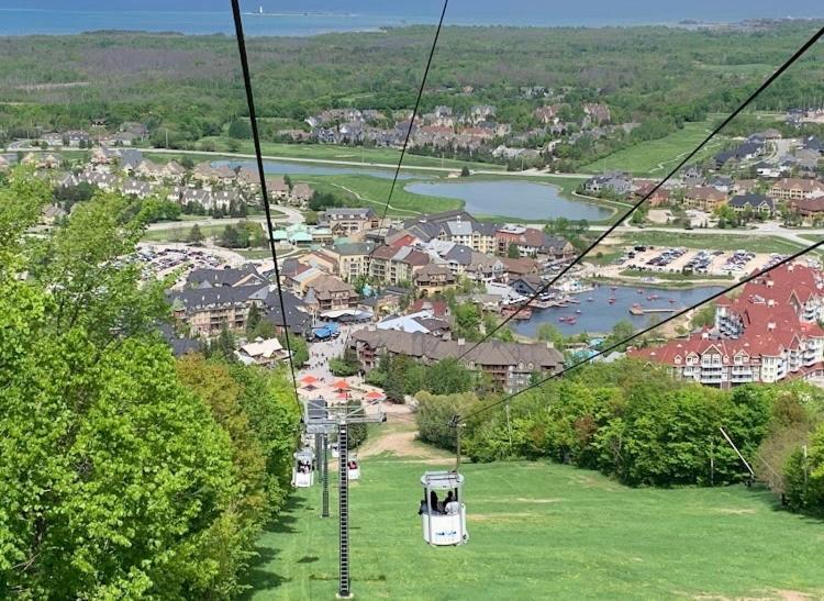 Blue Mountain Hideaway At North Creek Resort 蓝山 外观 照片